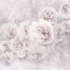 Wall mural White roses concrete wall old M4677