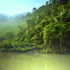 Papier peint Jungle Forêt Rivière Montagne M4931