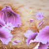 Wall mural wooden leaves purple flowers M5651