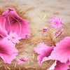 Fototapete Holzblätter rosa Blumen M5659