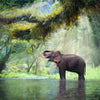Papier peint Jungle avec éléphant M5722
