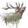 Wall mural forest with deer watercolor effect M5737