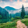 Wall Mural Mountains with Path M5743
