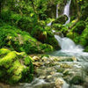 Fototapete Wasserfall im Wald M5749