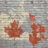 Wall mural Canada flag brick wall M5862