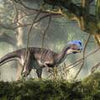 Wall mural Dilophosaurus dino between trees M6024