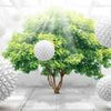 Wall mural 3D effect balls tree space M6102