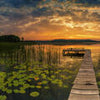 Fototapete See Steg Natur Seerosen M6194