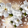 Fototapete weiße Blüten Perlen M6260