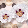 Fototapete weiße Blüten Muscheln M6263