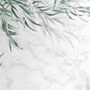 Papiers peints rameaux d'olivier feuilles méditerranéen M6270
