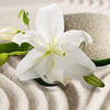 Wall mural white lily flower M6282