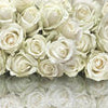 Poster XXL pétales de roses blanches M6296