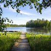Wall mural Lake Path Forest M6472