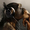 Wall Mural Monkey Chimpanzee Headphones M6540