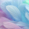 Papiers peints plumes bleu pastel violet M6636