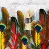 Papiers peints Mur de pierre plumes colorées M6640