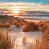 Fototapete Strand Dünen Meer Sonne M6755