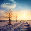 Fototapete Schnee Zaun Bäume Sonne M6813