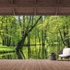 Wall mural View Terrace Forest River M6844