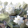 Fototapete Blüten Malerei Natur Blätter M6849