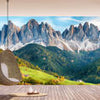Wall mural View Mountains Forest Sky M6854