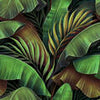Fototapete Vintage Pflanzen Blätter M6886