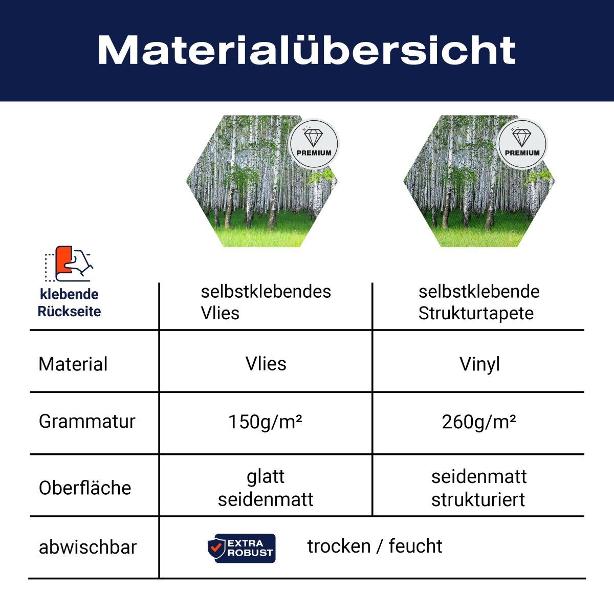 Hexagon-Fototapete Birkenhain im Frühling M0005 - Bild 8