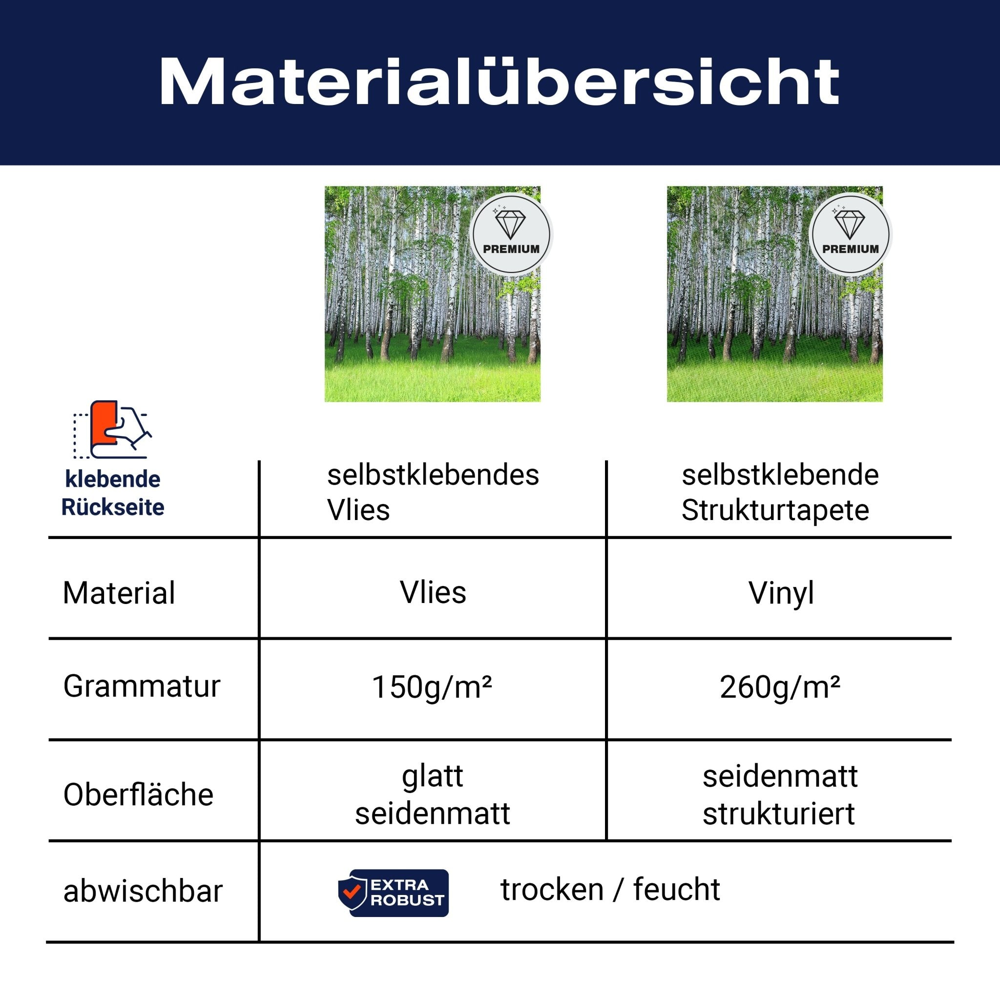 Quadratische Fototapete Birkenhain im Frühling M0005 - Bild 8