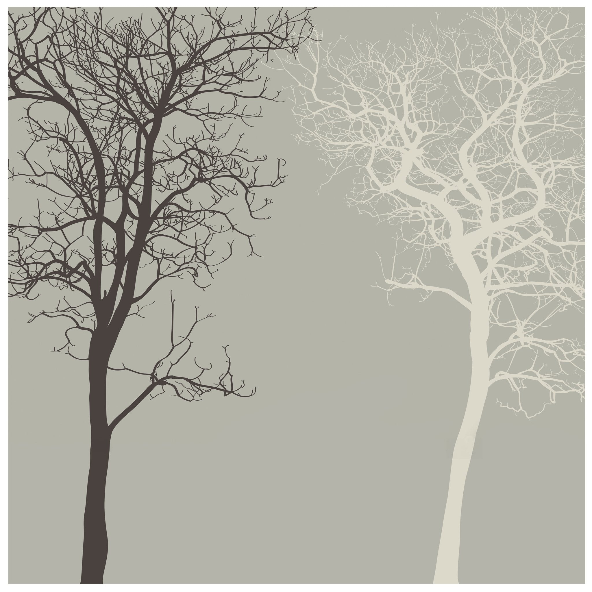 Quadratische Fototapete Silhouetten von Bäumen M0015 - Bild 11
