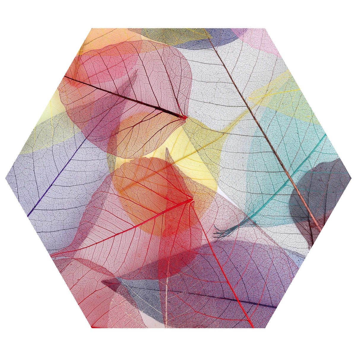 Hexagon-Fototapete bunte Blätter M0016 - Bild 11