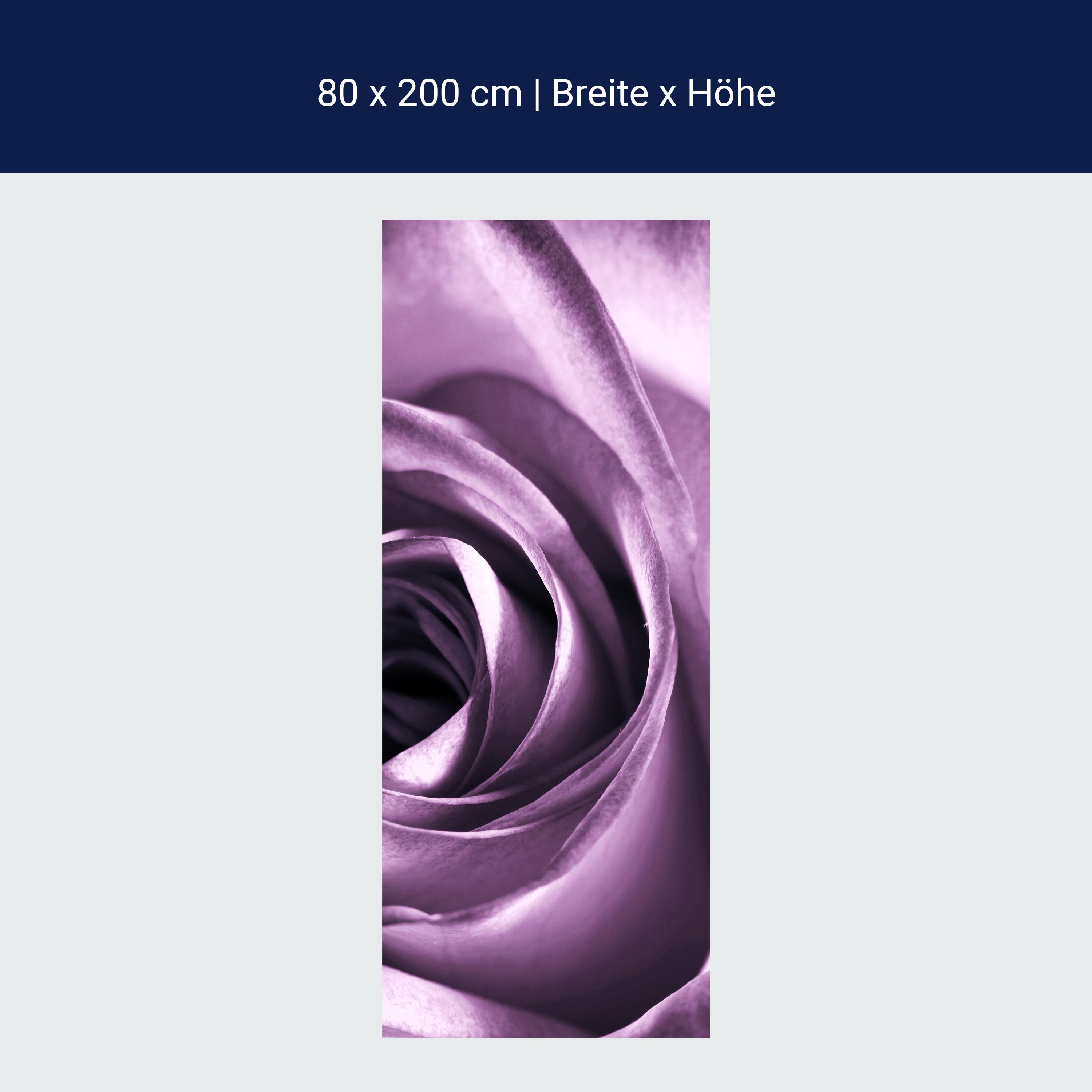 Türtapete violette Rose M0051
