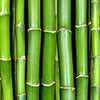 Kitchen splashback bamboo wall M0054