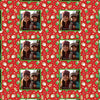 Geschenkpapier Weihnachten, Foto, Pfefferkuchen M0062