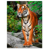 Tableau sur toile Animaux portrait tigre M0096