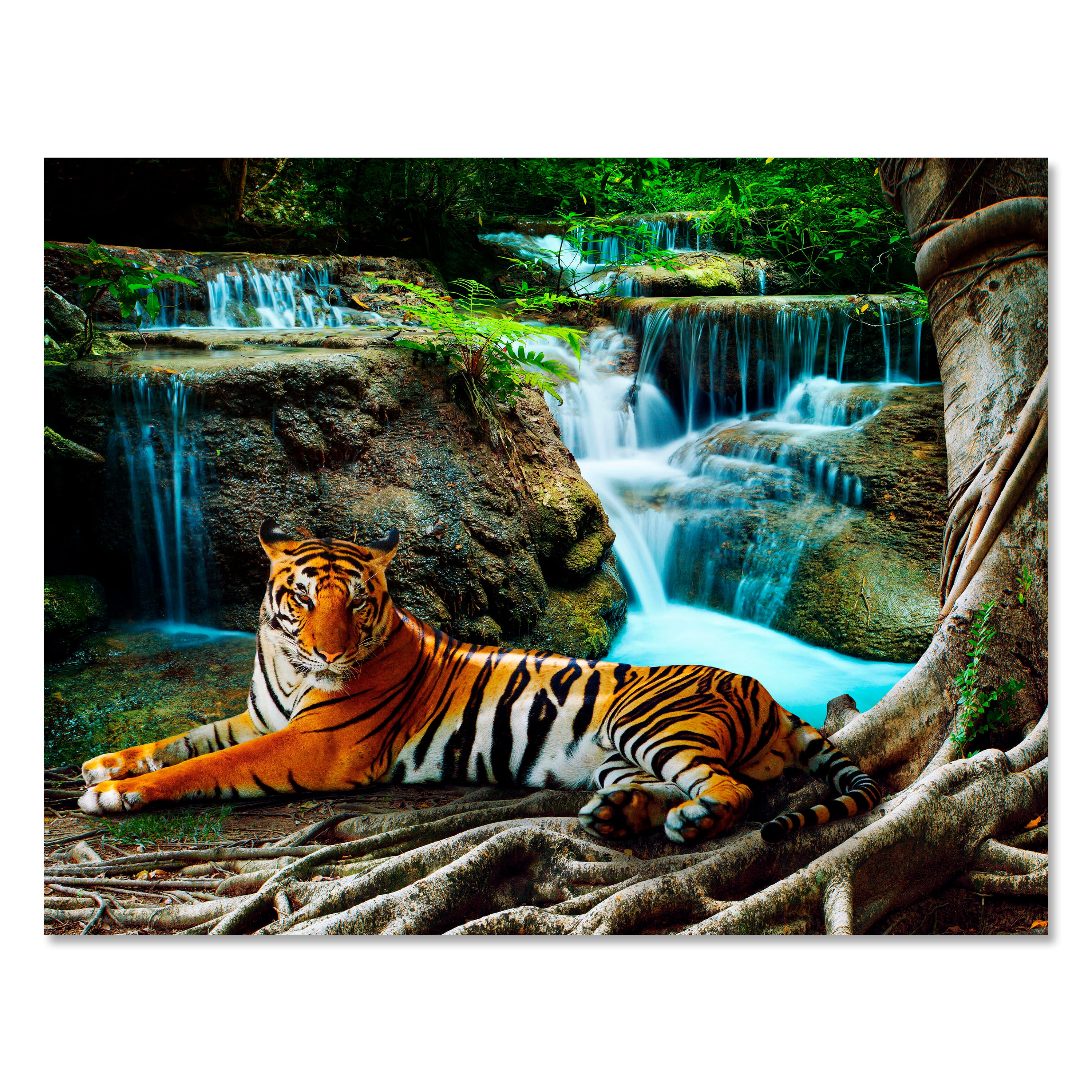 Leinwandbild Tiere, Querformat, Tiger Wasserfall M0098 kaufen - Bild 1