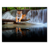 Canvas Print Animals, landscape format, tiger at the waterfall M0100