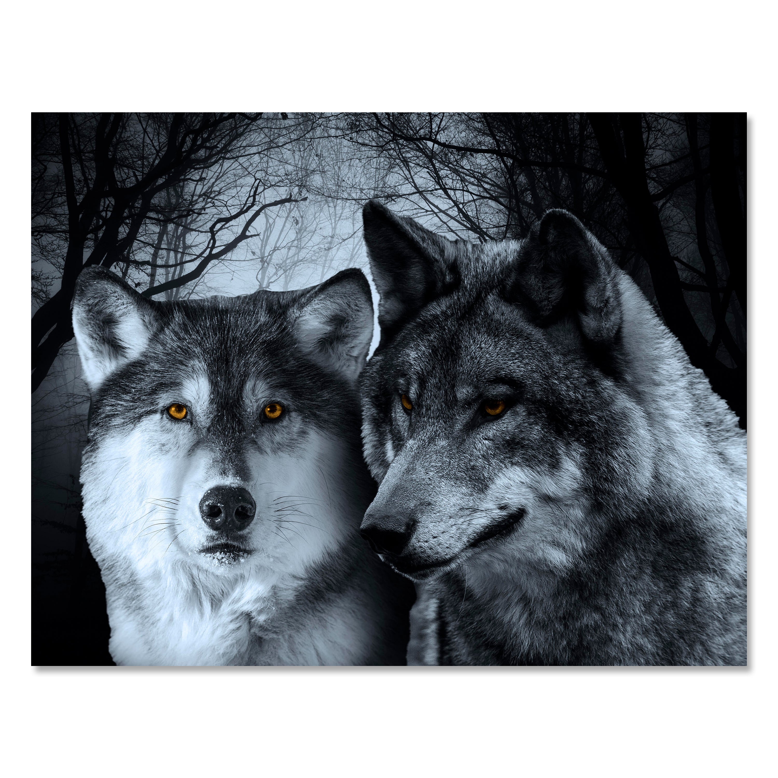 Leinwandbild Tiere, Querformat, Wölfe M0102 kaufen - Bild 1