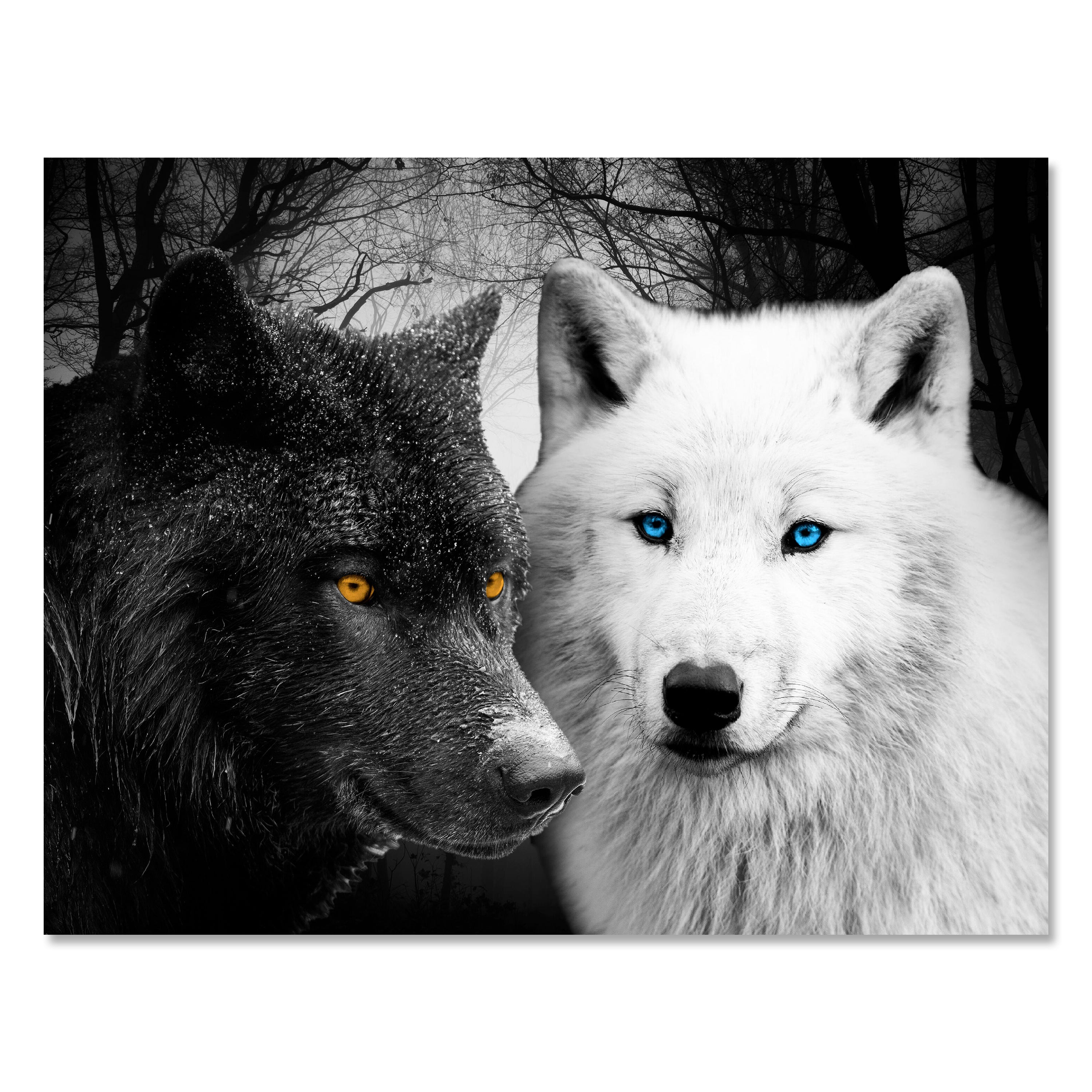 Leinwandbild Tiere, Querformat, Wölfe Schwarz & Weiß M0103 kaufen - Bild 1