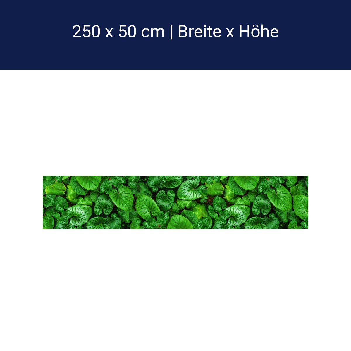 Panorama-Fototapete Grüne Blätter M0130