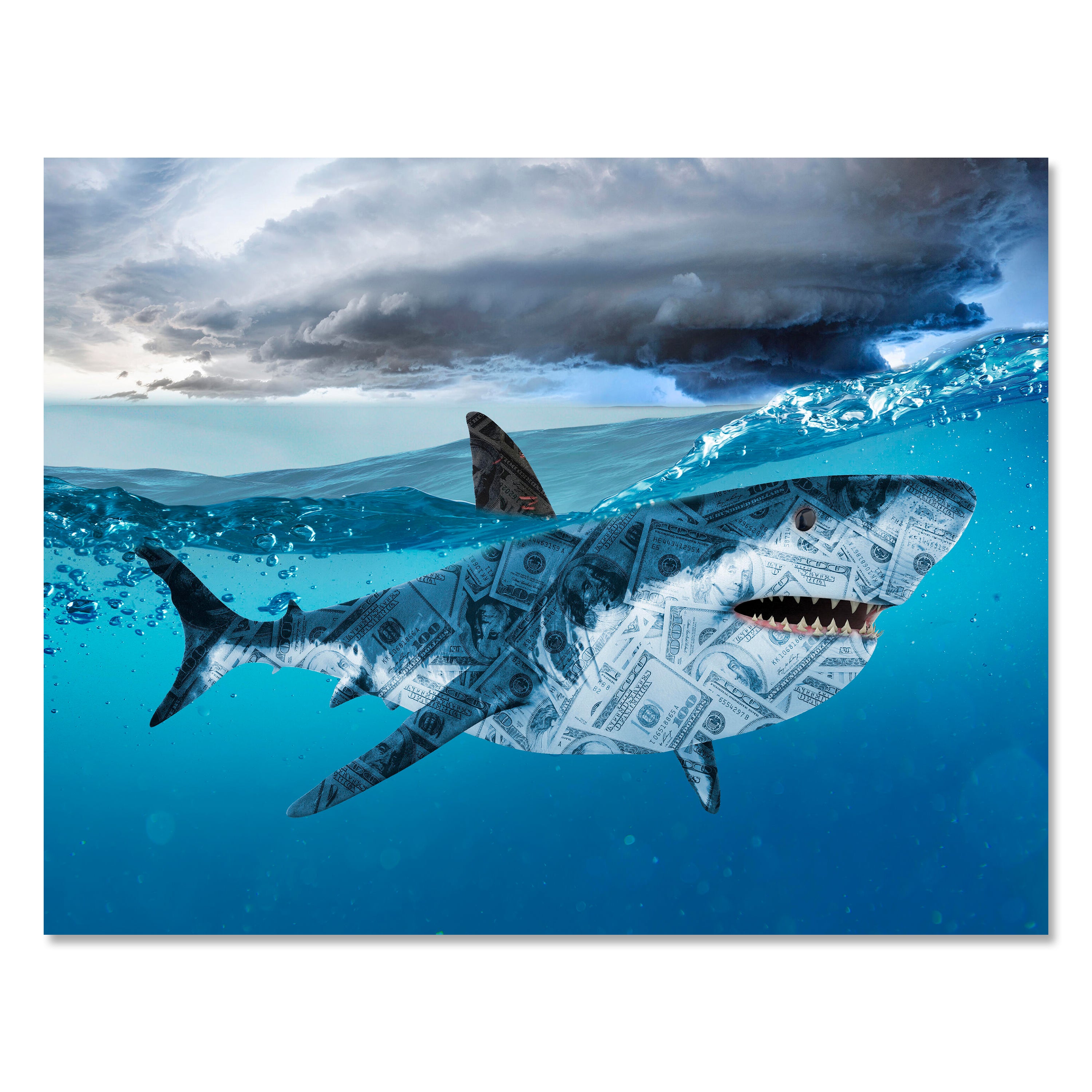 Leinwandbild Motivation, Querformat, Hai Moneyshark M0134 kaufen - Bild 1