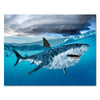 Canvas Print Motivation, Landscape, Shark Moneyshark M0134