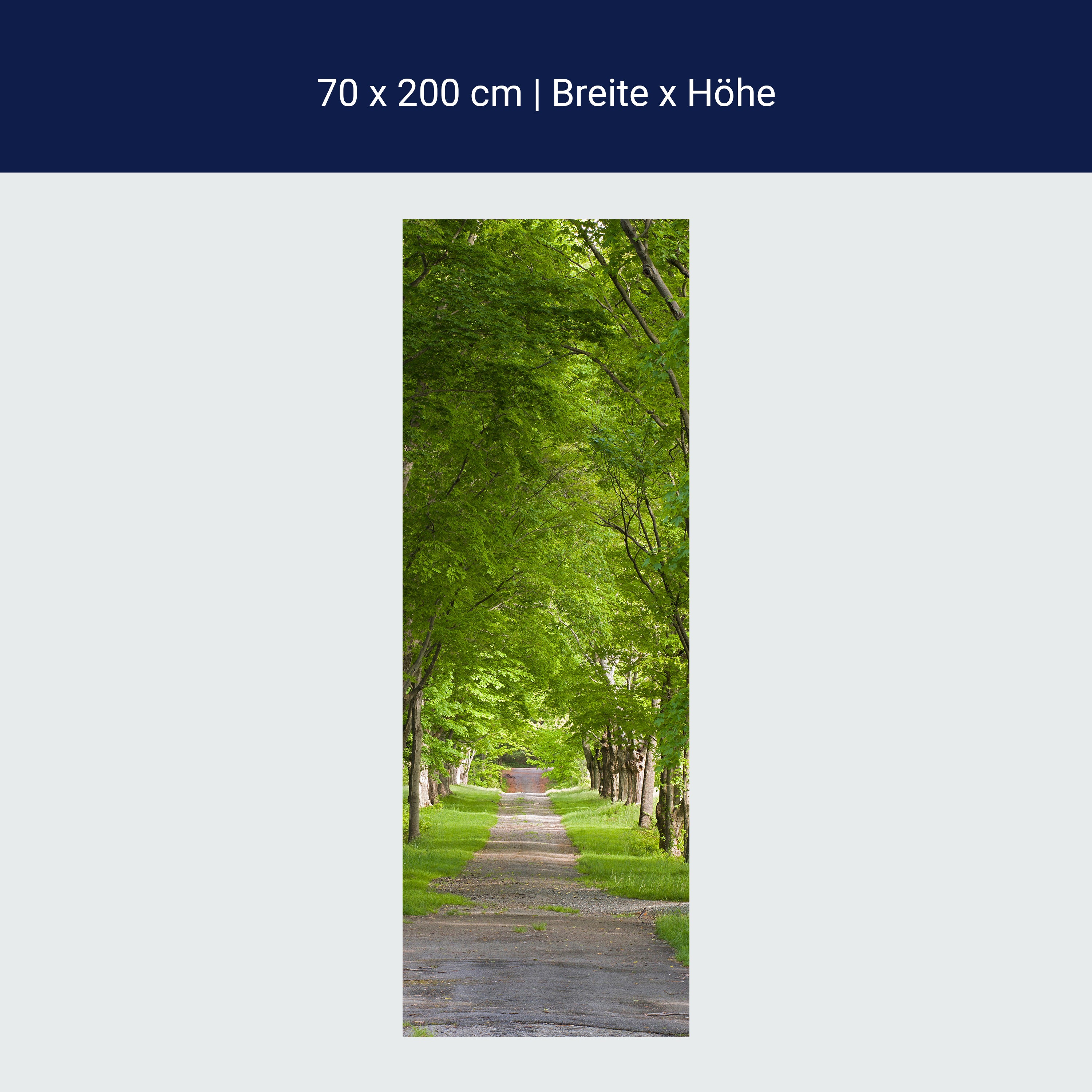 Türtapete Sommerallee M0357