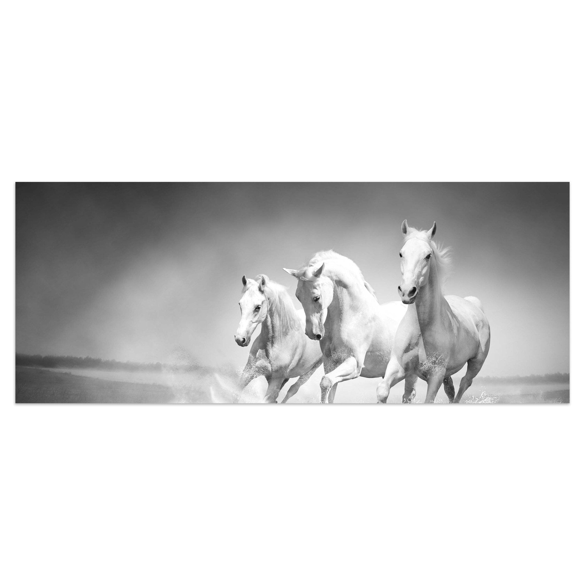 Leinwandbild weiße Traumpferde M0489 kaufen - Bild 1