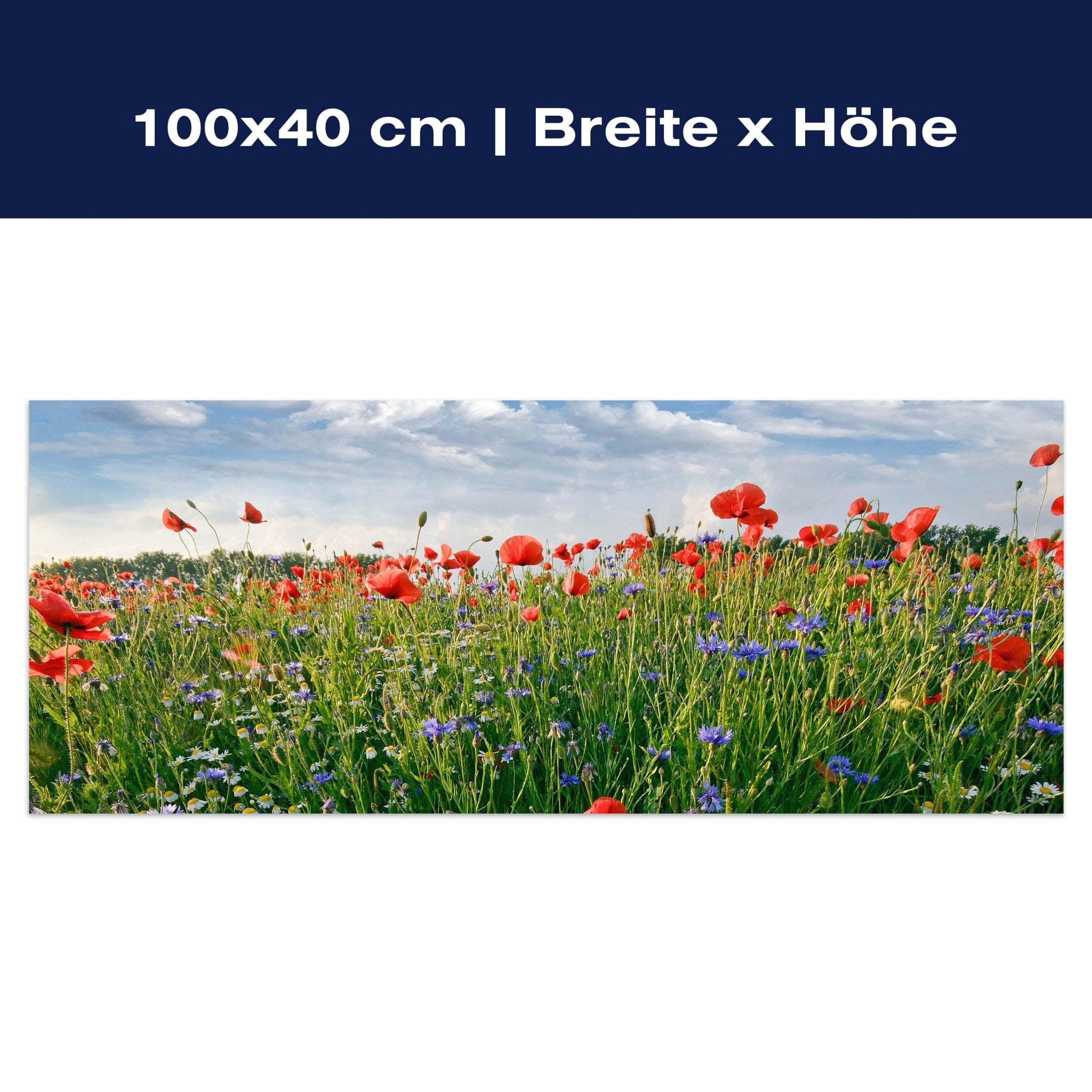 Leinwandbild Blumenwiese M0493