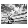 Black and white Canvas Print M0541 airplane