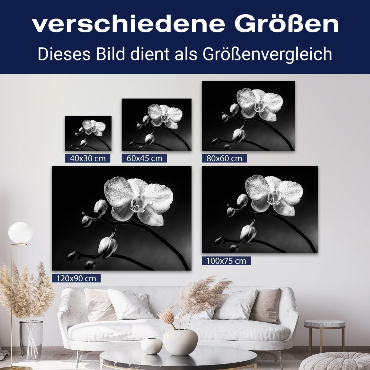 Leinwandbild Schwarz-Weiß, Blumen M0550 kaufen - Bild 8