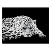 Tableau sur toile léopard noir et blanc M0552