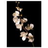 Leinwandbild Natur, Blumen, Orchidee M0554