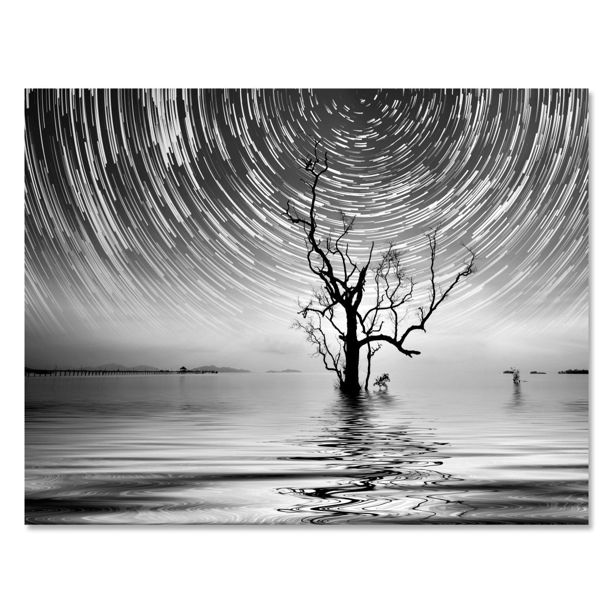 Leinwandbild Schwarz-Weiß, Natur M0563 kaufen - Bild 1